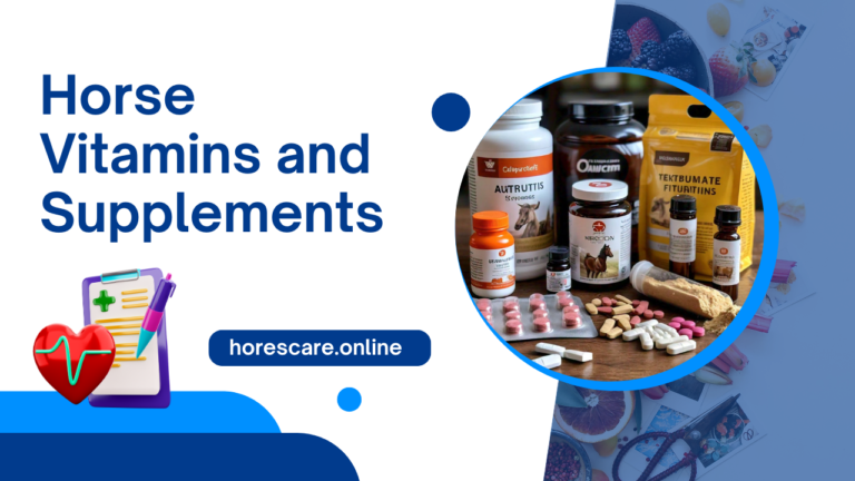 Horse Vitamins and Supplements