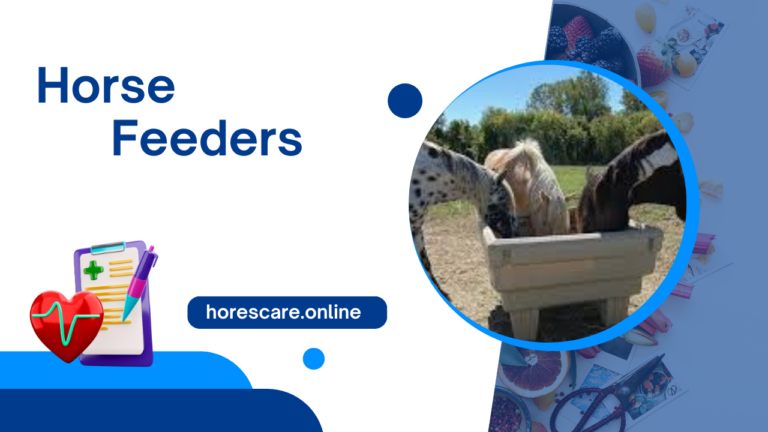 Horse Feeders