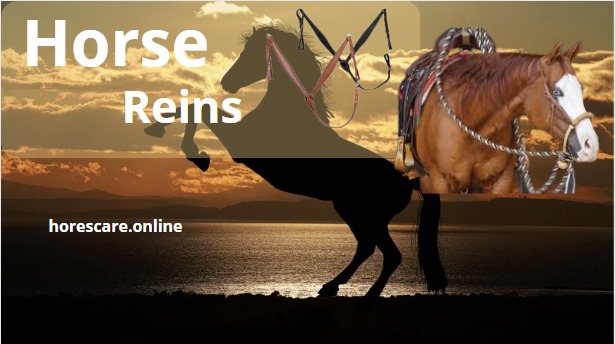 Horse Reins