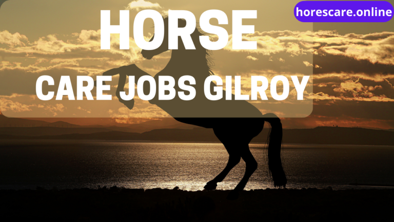 Horse Care Jobs Gilroy